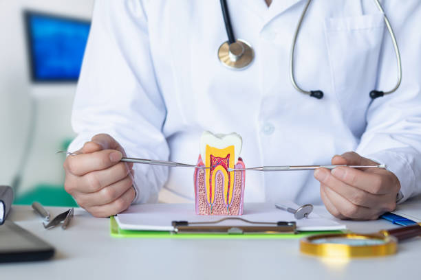 Best Emergency Treatment for Dental Infections or Abscesses in Oberlin, OH